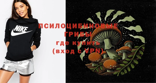 дурь Балахна